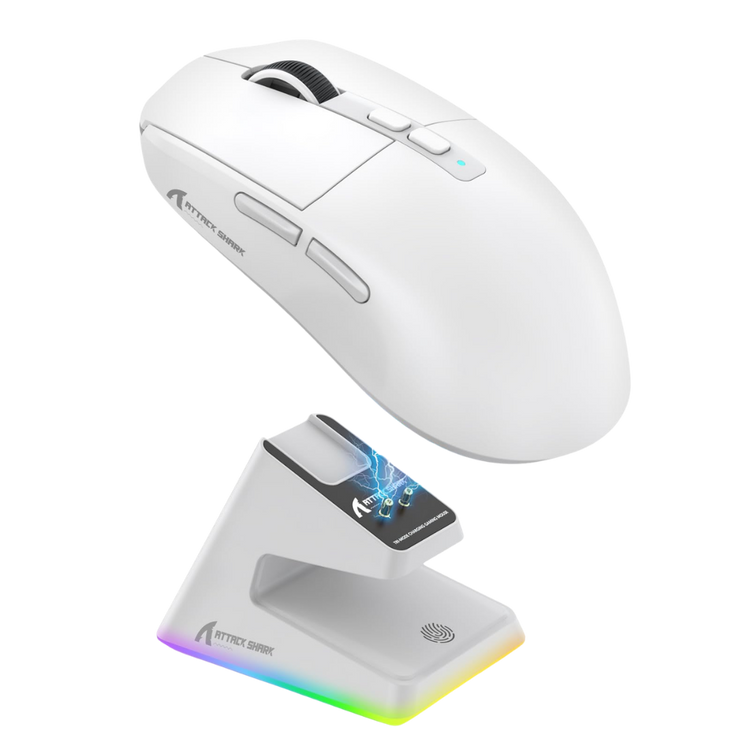 Mouse