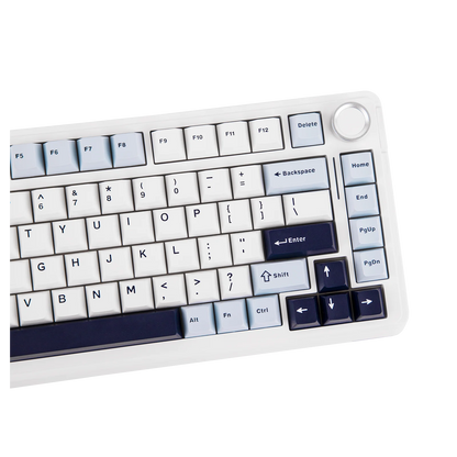EPOMAKER 75% QWERTY Layout Hot-Swap Gasket-Mounted Wired/2.4GHz/Bluetooth Wireless Mechanical Keyboard RGB Backlight