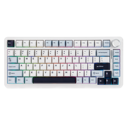 EPOMAKER 75% QWERTY Layout Hot-Swap Gasket-Mounted Wired/2.4GHz/Bluetooth Wireless Mechanical Keyboard RGB Backlight