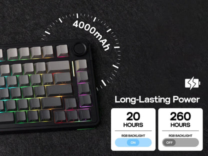 EPOMAKER 75% QWERTY Layout Hot-Swap Gasket-Mounted Wired/2.4GHz/Bluetooth Wireless Mechanical Keyboard RGB Backlight